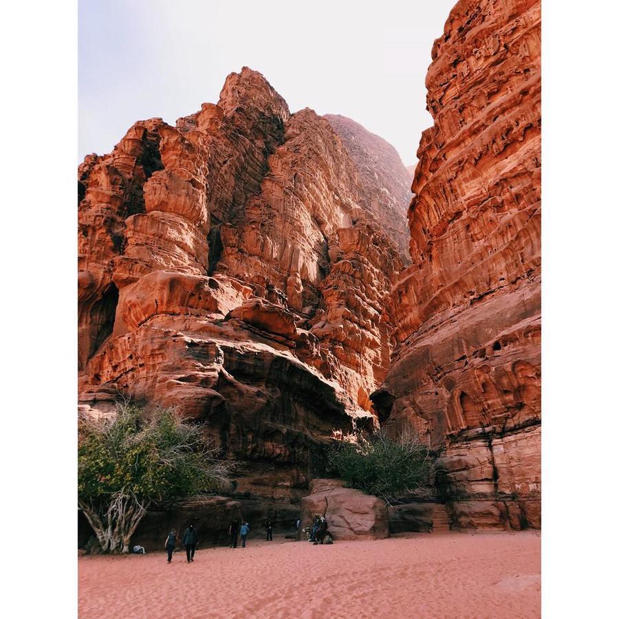 Wadi Rum Light Camp Exterior foto